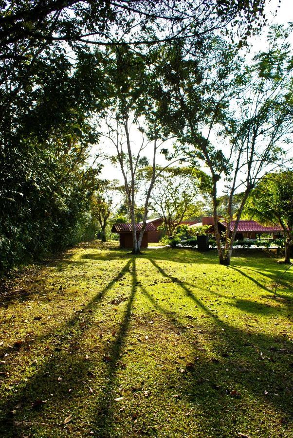 Natural Lodge Cano Negro מראה חיצוני תמונה
