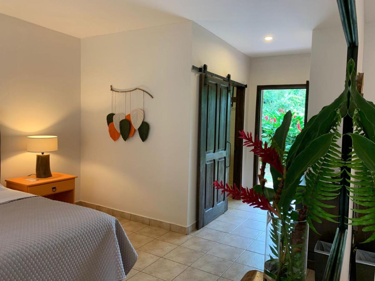 Natural Lodge Cano Negro מראה חיצוני תמונה