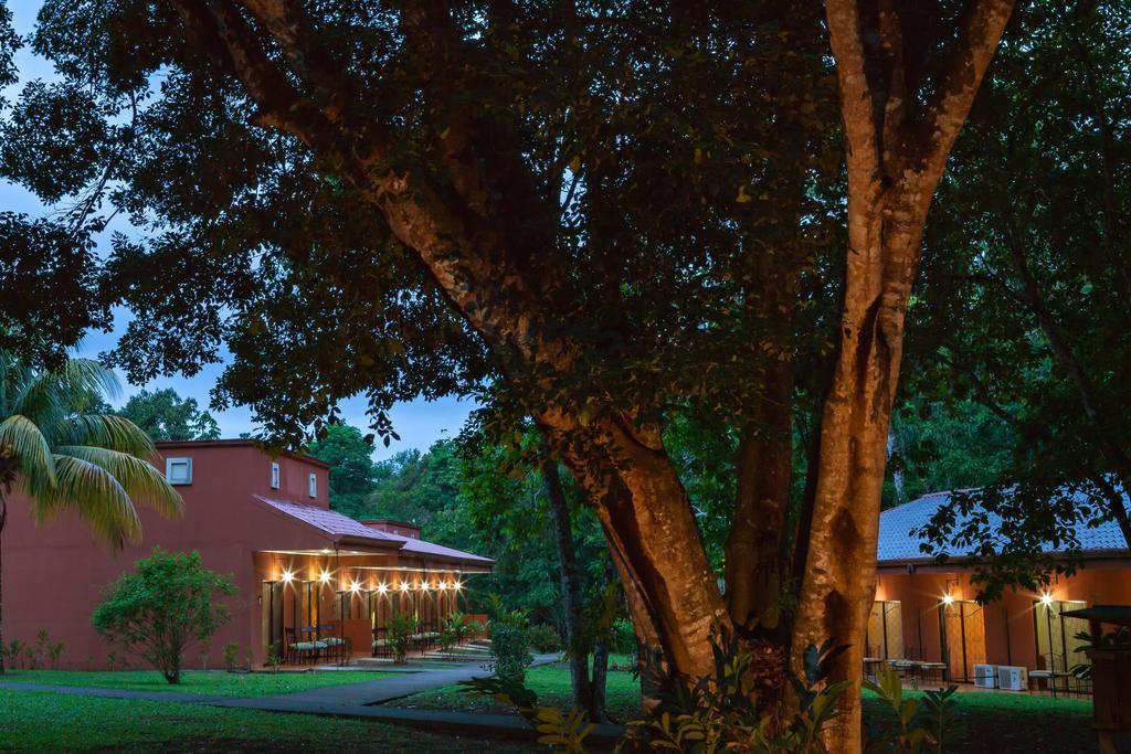 Natural Lodge Cano Negro מראה חיצוני תמונה